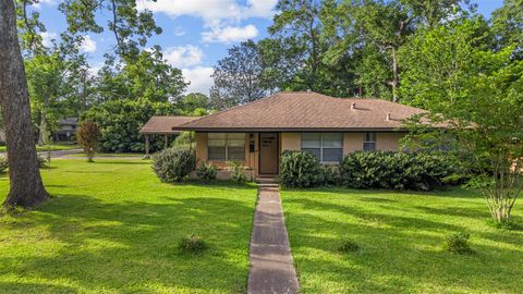 Photo of 101 S Delmont Drive E, Conroe, TX 77301 (MLS # 991511)