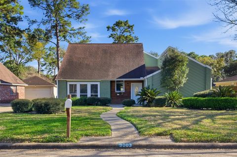 Photo of 9003 Tami Renee Lane, Houston, TX 77040 (MLS # 63895524)
