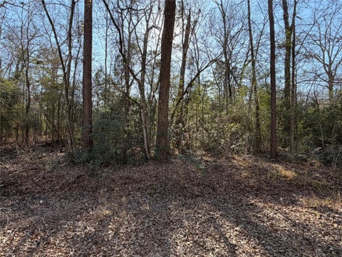 Vacant Land For Sale - TBD Lazy Oak Drive<br/> Livingston, TX 77351
