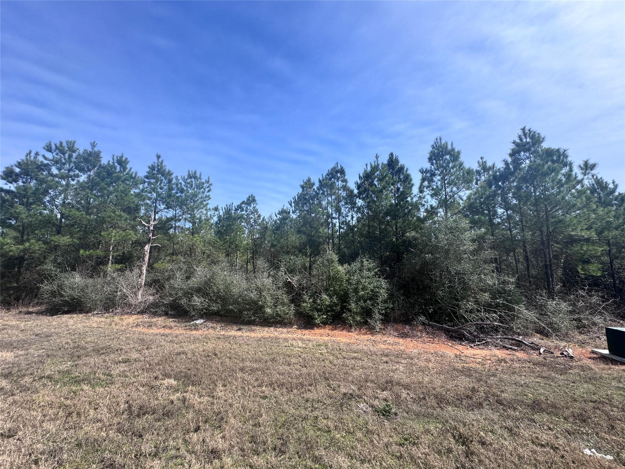 15584 Forest Grove Drive