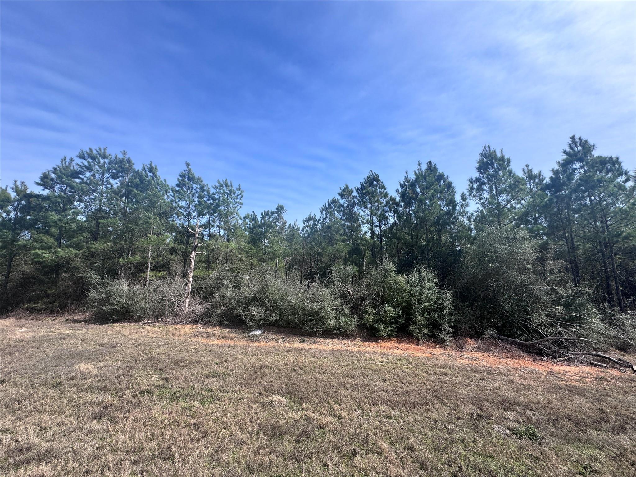 15584 Forest Grove Drive