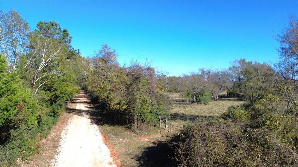 Photo of TBD Cr 2210, Grapeland, TX 75844 (MLS # 84403820)