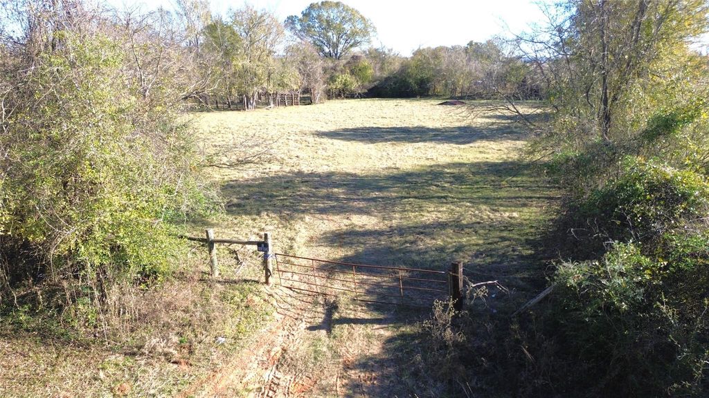 Photo of TBD Cr 2210, Grapeland, TX 75844 (MLS # 84403820)