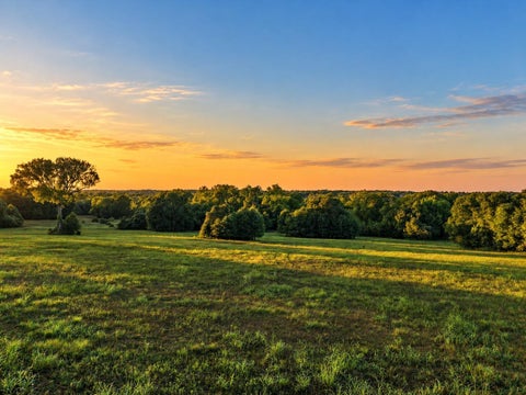 Photo of 10277 Mt Falls School Road, Washington, TX 77880 (MLS # 52337402)