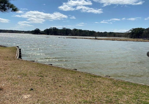 Photo of 370 Dawns Edge, Trinity, TX 75862 (MLS # 54141918)