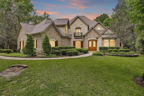 Photo of 8516 Crown Lake Court, Montgomery, TX 77316 (MLS # 42597579)