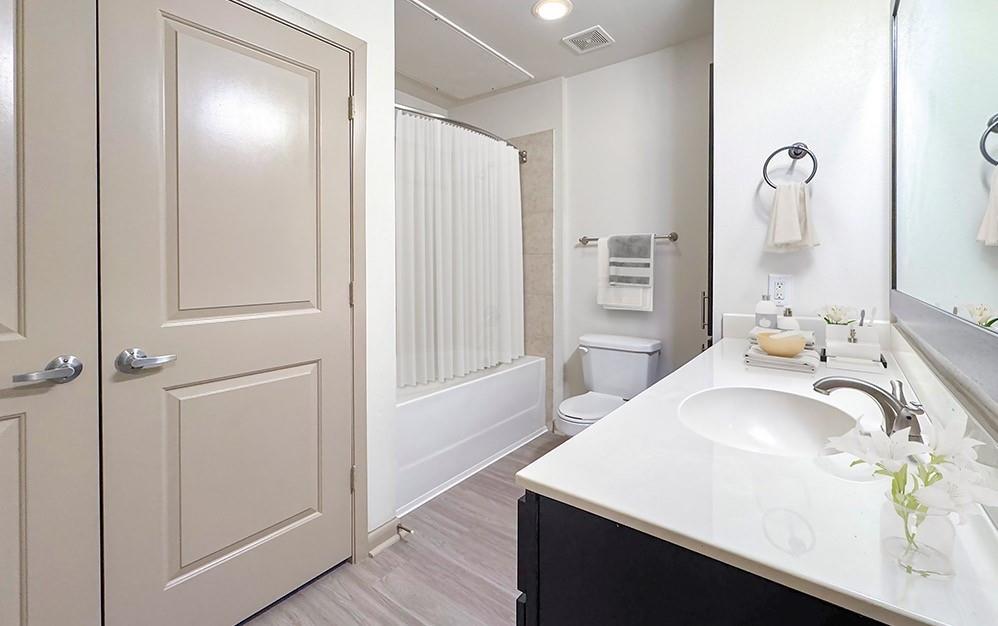 206 Mcgowen Street 3202