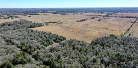 Vacant Land For Sale - TBD Cr 328, Tract 4, 10 Acres<br/> Burleson County, Caldwell, TX 77836