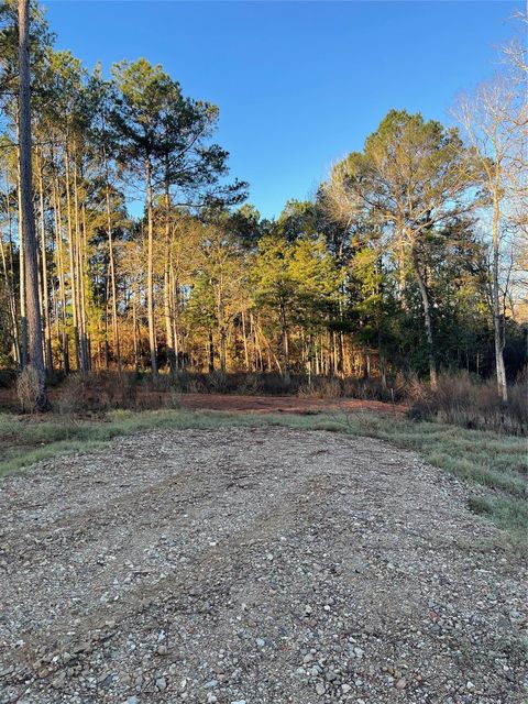 11345 Annie Creek Drive Willis TX 77378