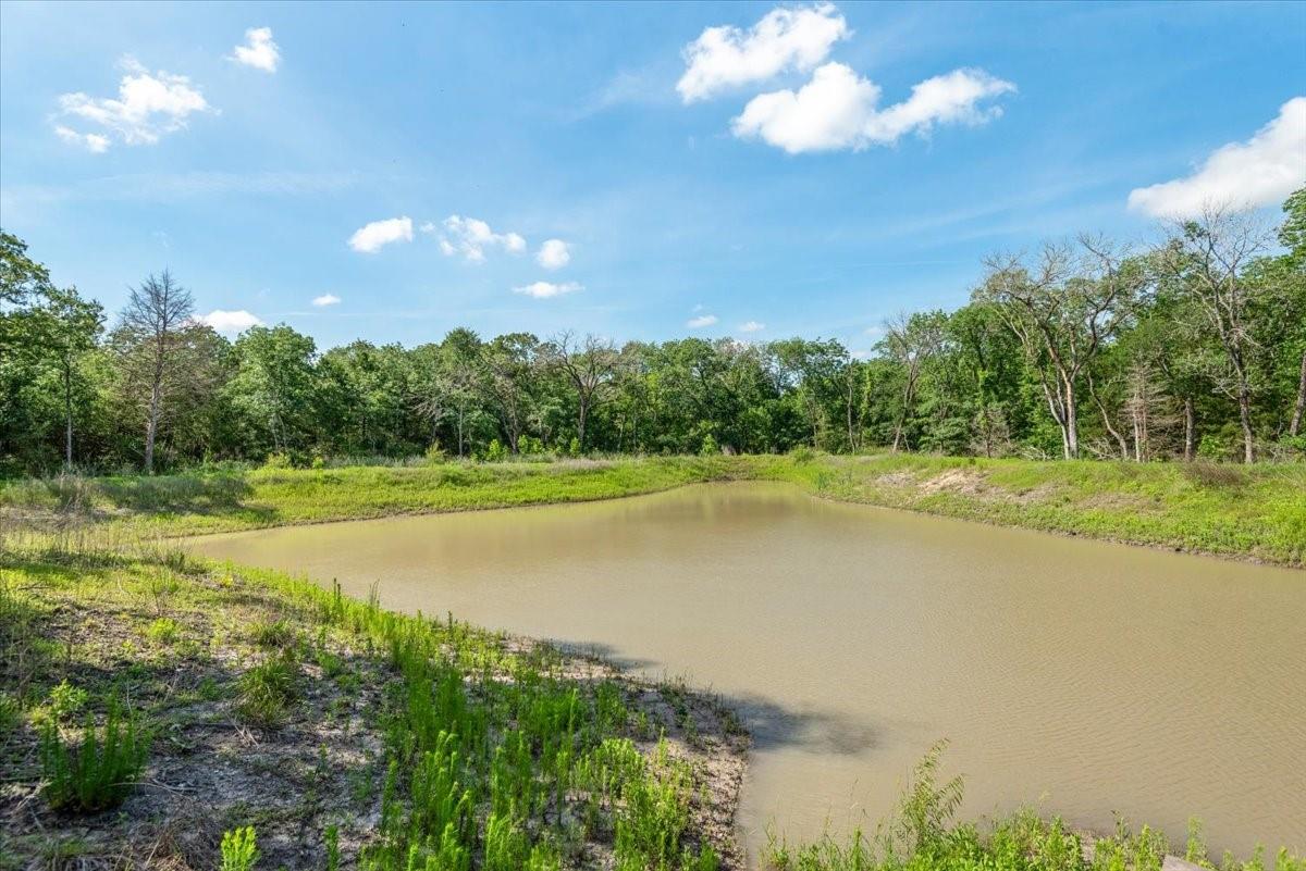 3801 County Road 447