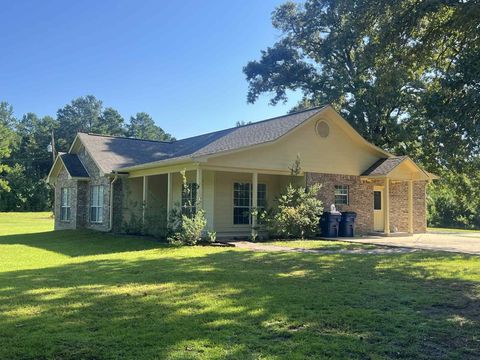 Photo of 1780 County Road 293, Jasper, TX 75951 (MLS # 59354328)