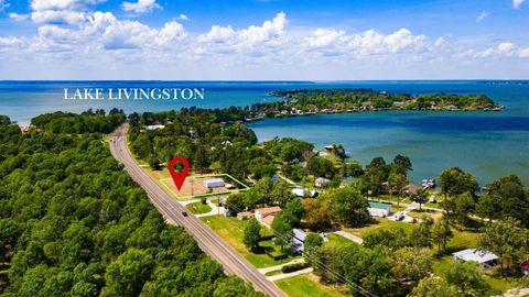 Photo of 327 Palmetto Drive, Livingston, TX 77351 (MLS # 77893092)