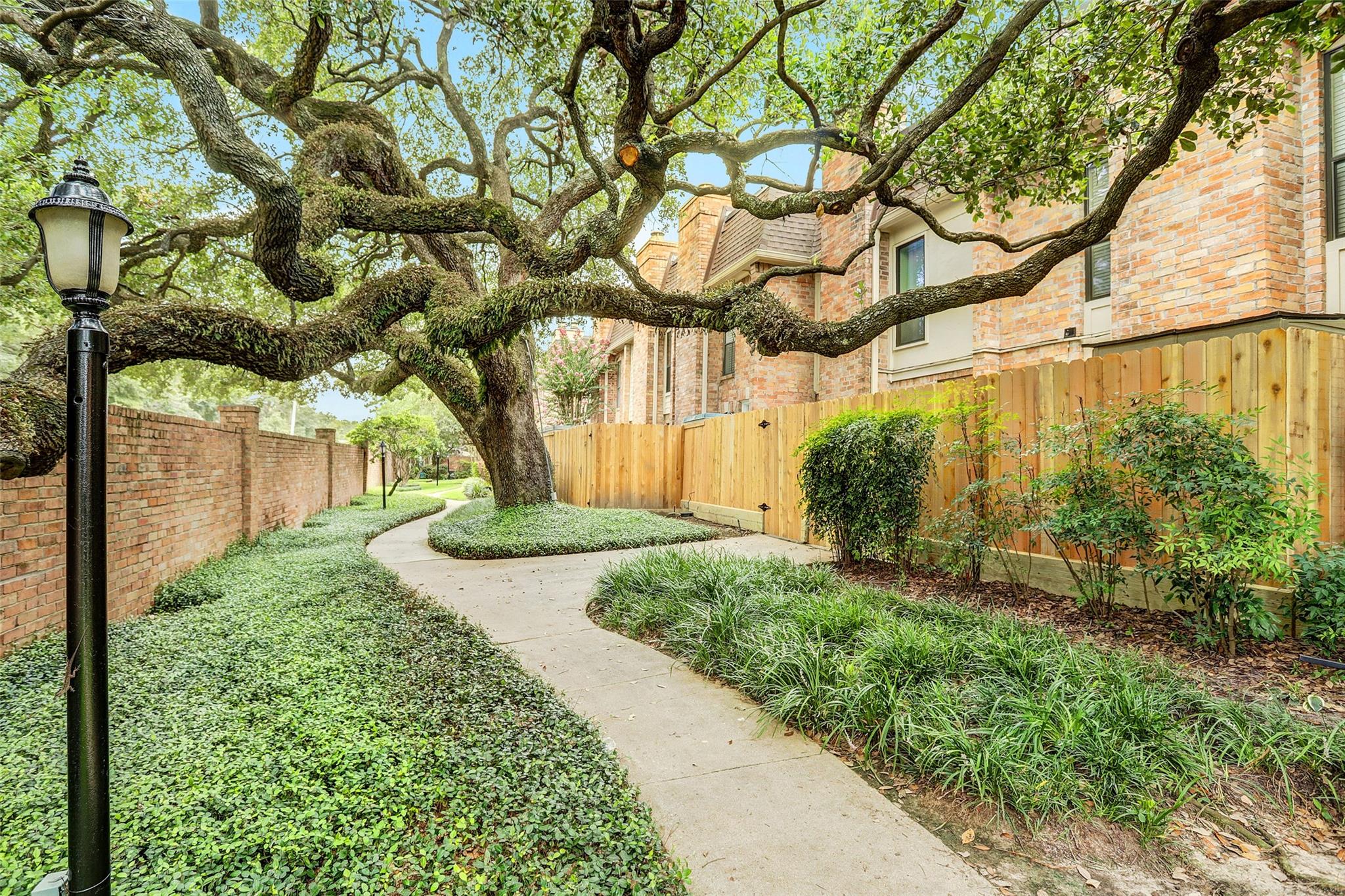 1601 S Shepherd Drive 207