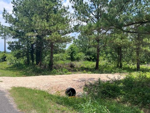 Photo of 175 County Road 4873, Dayton, TX 77535 (MLS # 42856514)