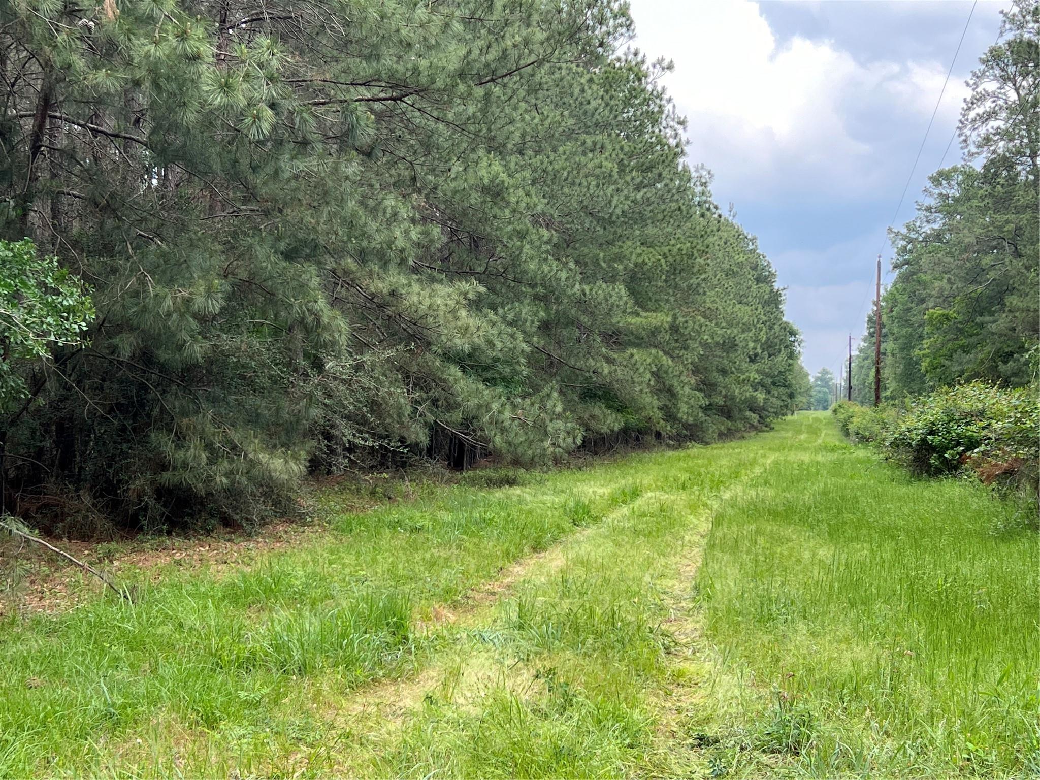 0019 English Rd Road