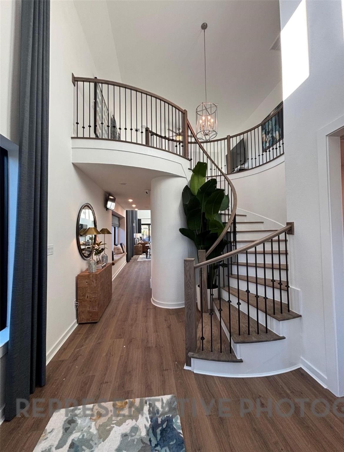 11215 Cassia Tree Lane