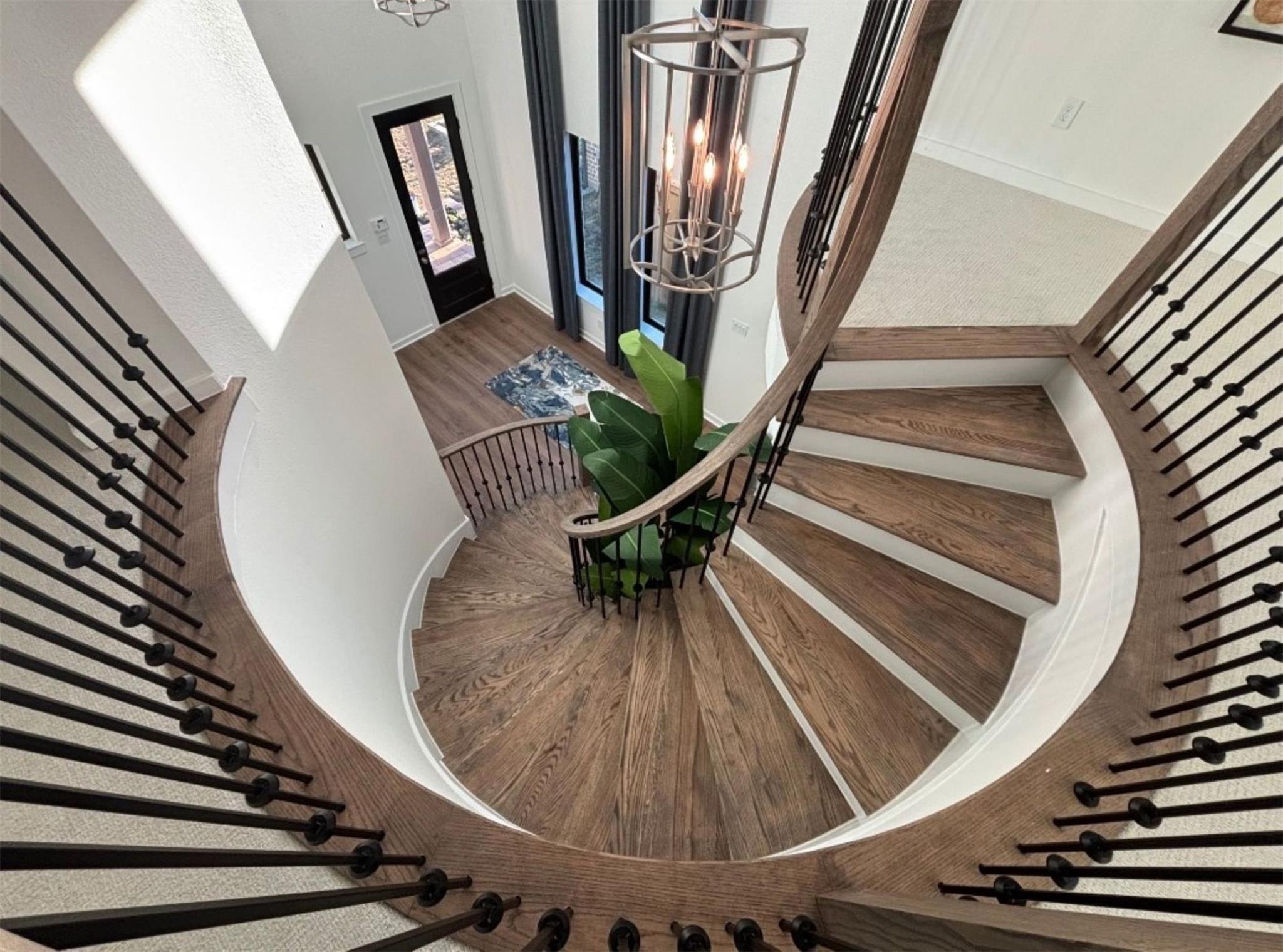 11215 Cassia Tree Lane