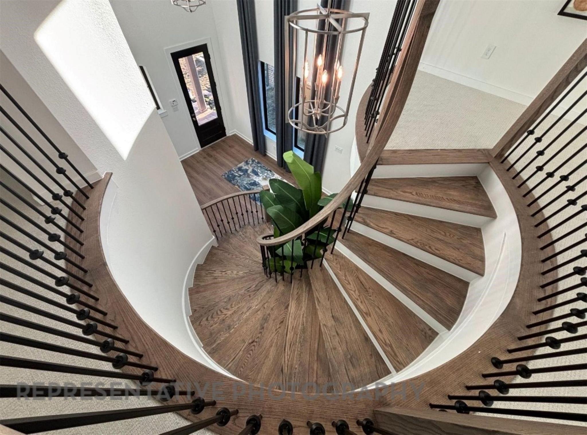 11215 Cassia Tree Lane