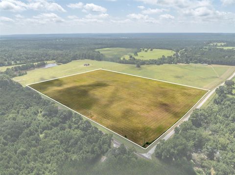 Vacant Land For Sale - 1420 Acr 379<br/> Anderson County, Palestine, TX 75801