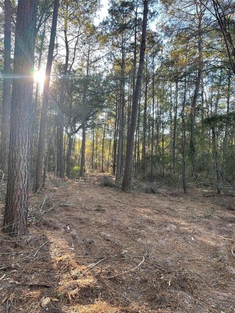 Photo of 13034 Hackberrry Drive, Plantersville, TX 77363 (MLS # 89536873)