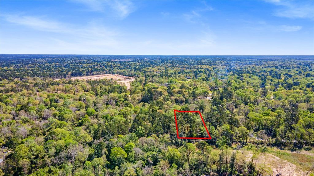 Photo of 0 Lilac Lane, New Caney, TX 77357 (MLS # 69618853)