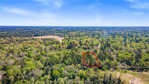 Photo of 0 Lilac Lane, New Caney, TX 77357 (MLS # 69618853)