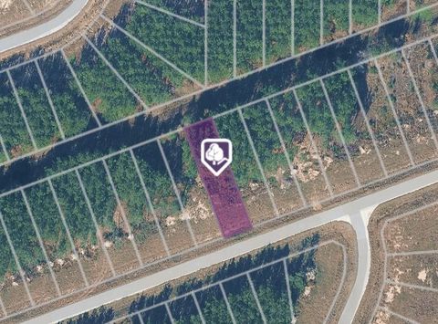 Photo of 1365 Road 5890, Cleveland, TX 77327 (MLS # 8135998)