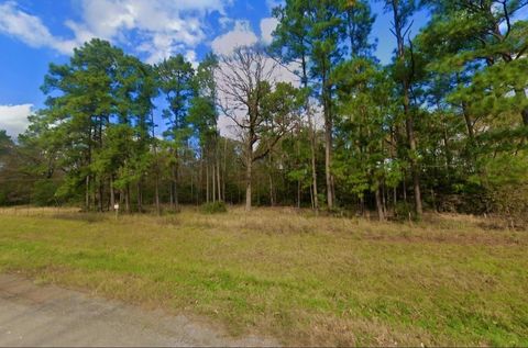 Photo of 0 Fern Lane, Trinity, TX 75862 (MLS # 96178250)