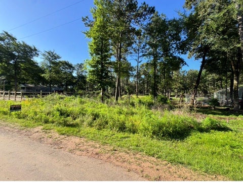 Vacant Land For Sale - 8020 Tawnyberry Lane<br/> Plantersville, TX 77363