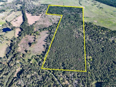 Vacant Land For Sale - 1 Bishop Road<br/> Walker County, Huntsville, TX 77320