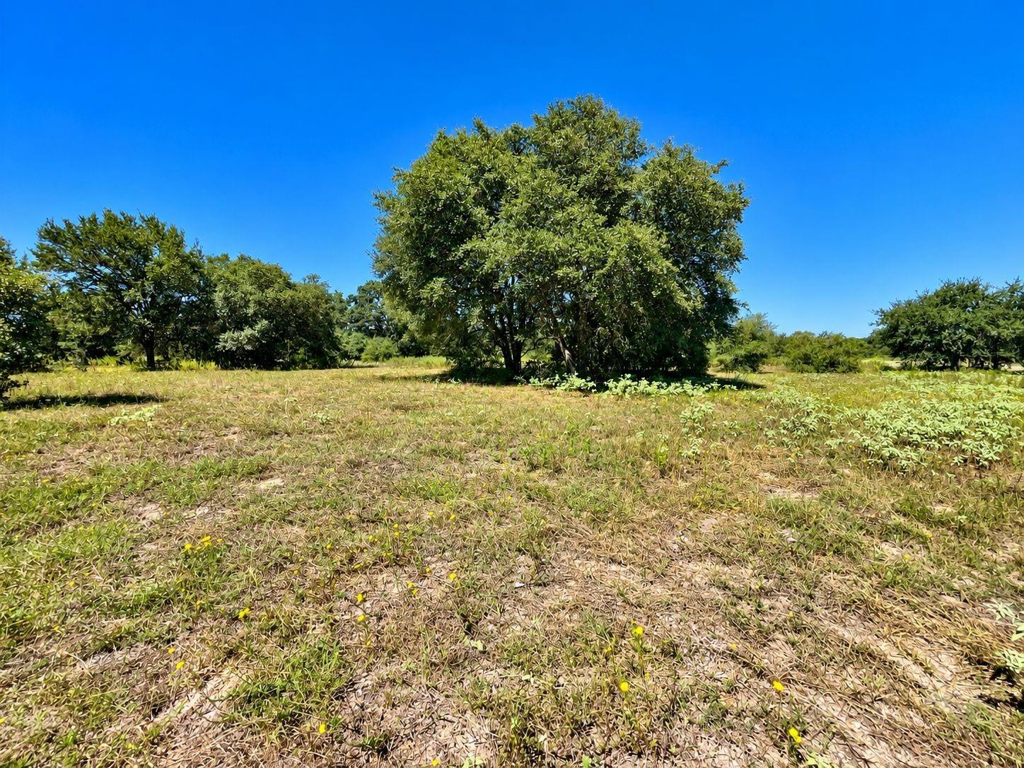 TBD County Road 132