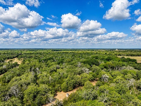 Photo of 9098 County Road 132, Hallettsville, TX 77964 (MLS # 68956344)