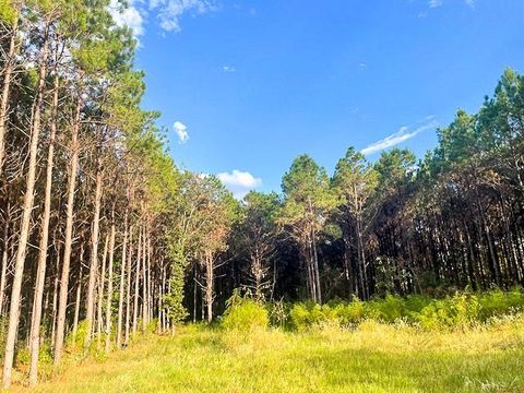 Photo of 3564 Midway Loop E Loop, Livingston, TX 77351 (MLS # 37857998)
