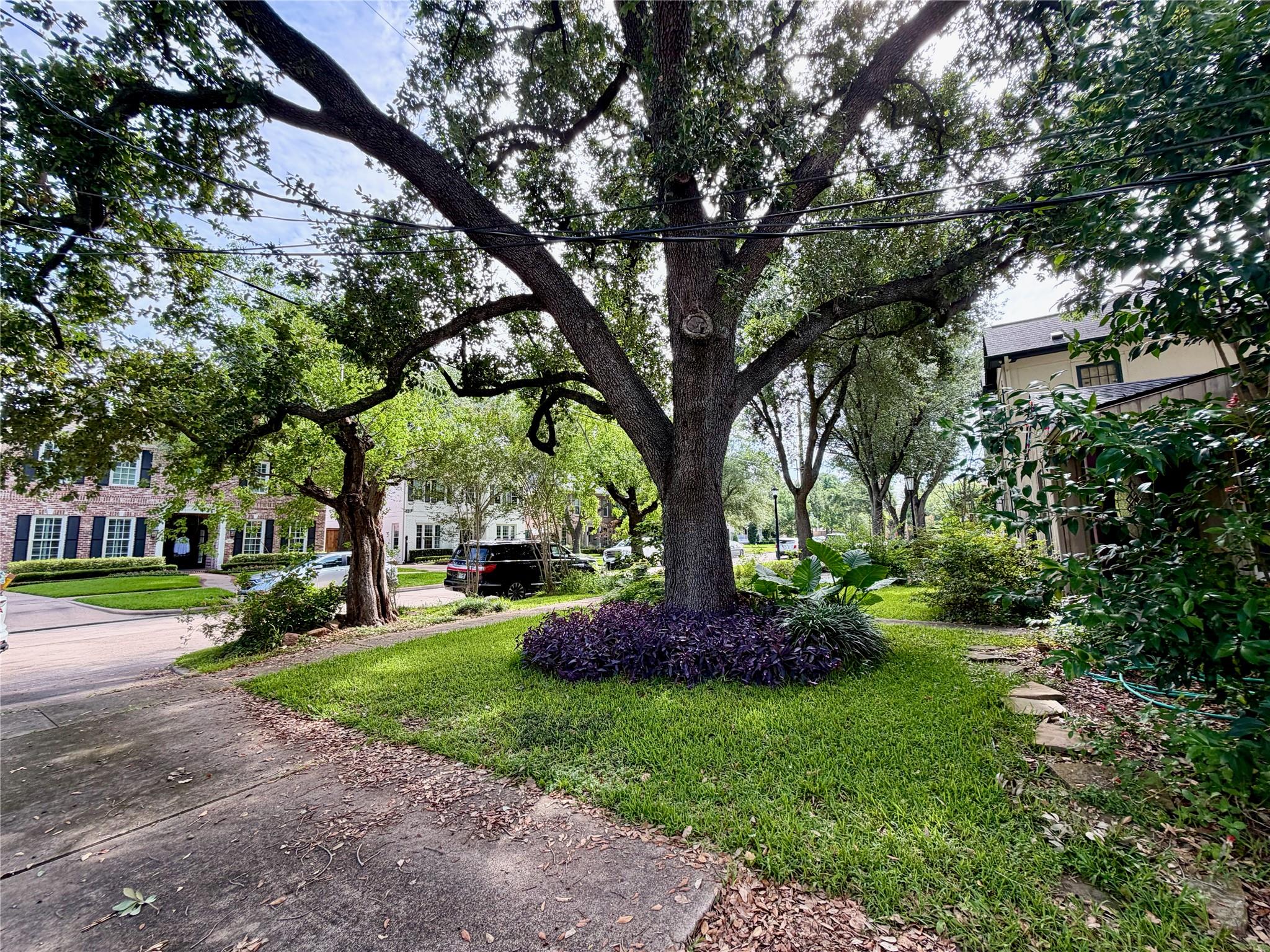 3831 Arnold Street