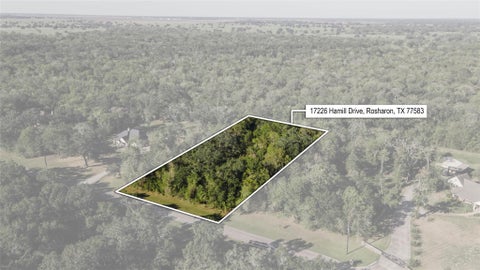 Photo of 17226 Hamill Drive, Rosharon, TX 77583 (MLS # 32548756)