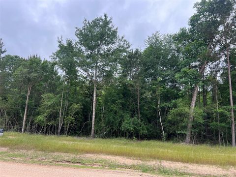 Photo of TBD Ellwood Dr, Livingston, TX 77351 (MLS # 43566361)