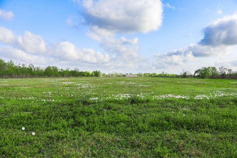 Photo of 1115 E Fm 1462 Road, Rosharon, TX 77583 (MLS # 66121547)