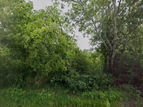 Photo of 7550 Hacker Road, Hitchcock, TX 77563 (MLS # 4219382)