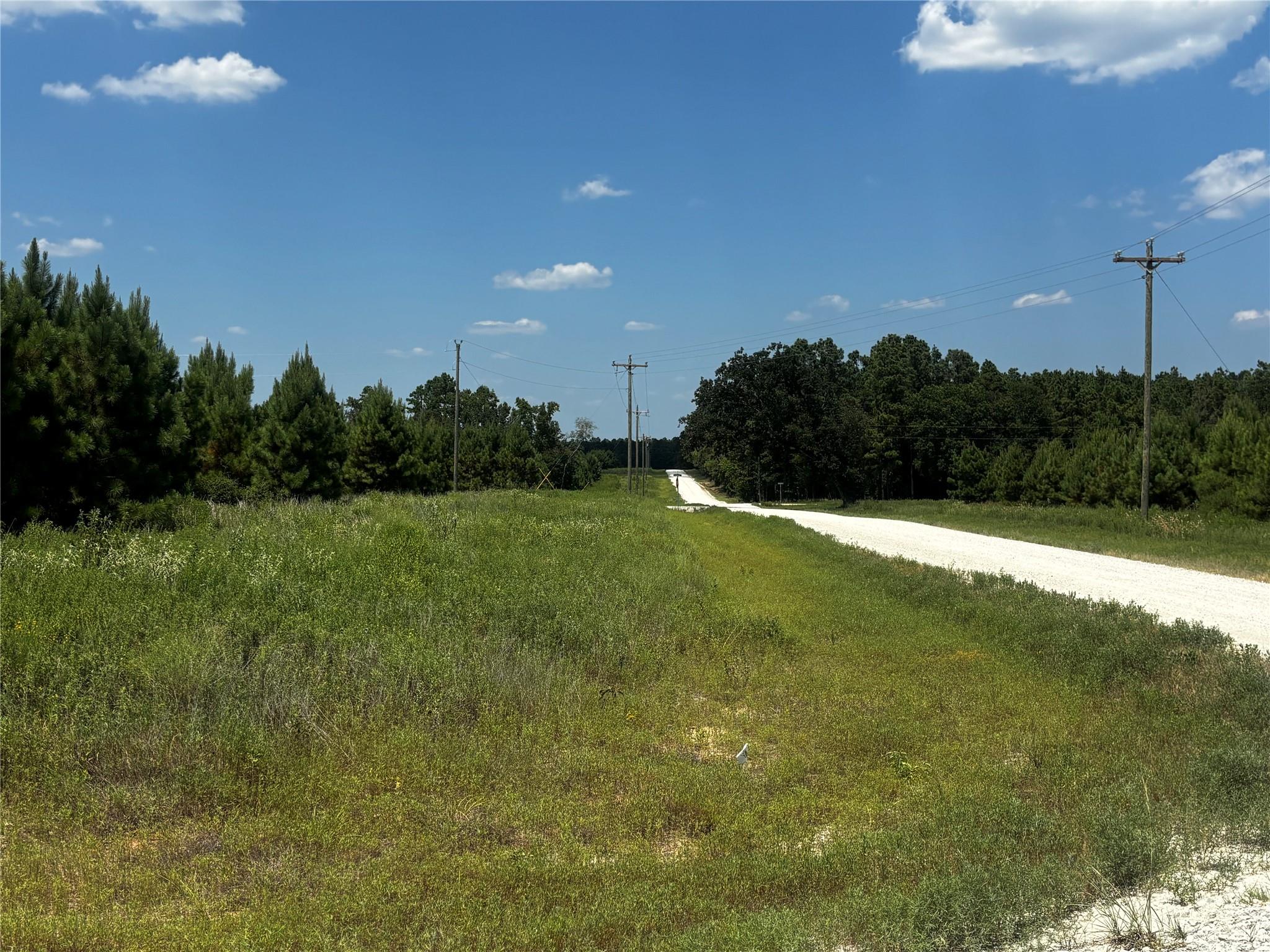 TBD Trinity Trail