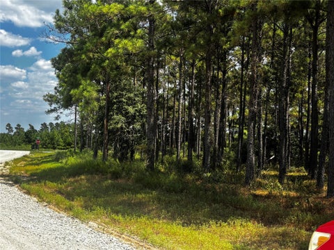Photo of TBD Trinity Trail, Lovelady, TX 75851 (MLS # 63104393)