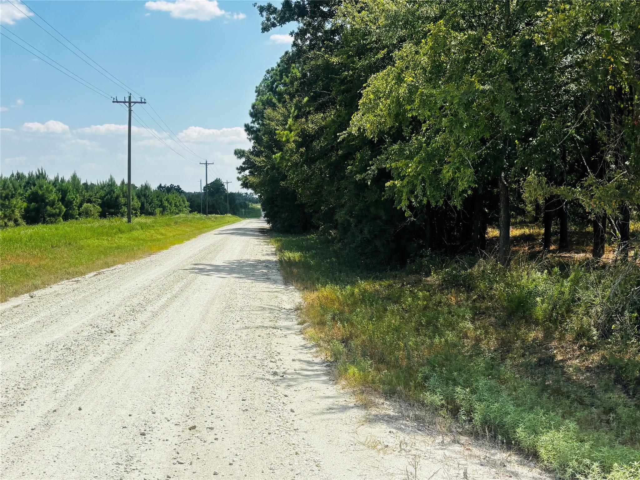 TBD Trinity Trail