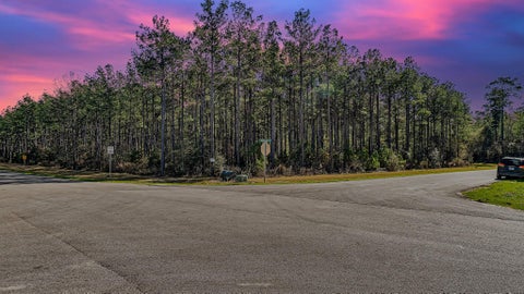 Photo of 10999 Ruger Road, Willis, TX 77378 (MLS # 19471448)