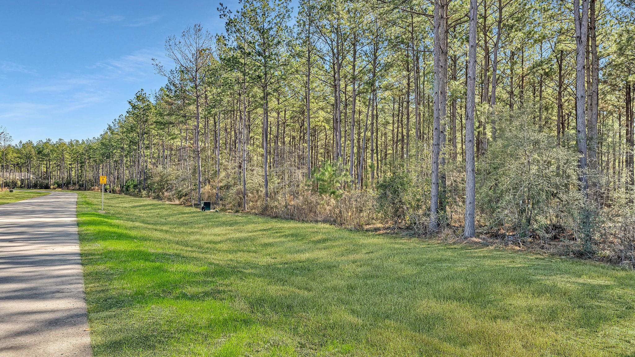 10999 Ruger Road