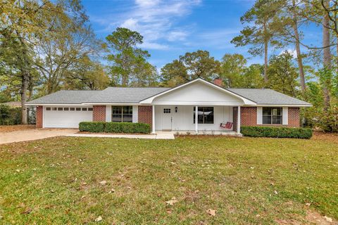 Photo of 18742 Mink Lake Drive, Magnolia, TX 77355 (MLS # 41856749)