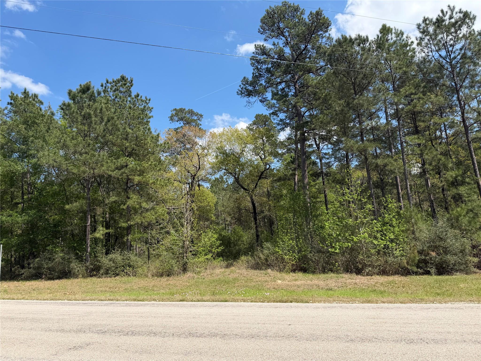 19-6-1 Dedication Trail