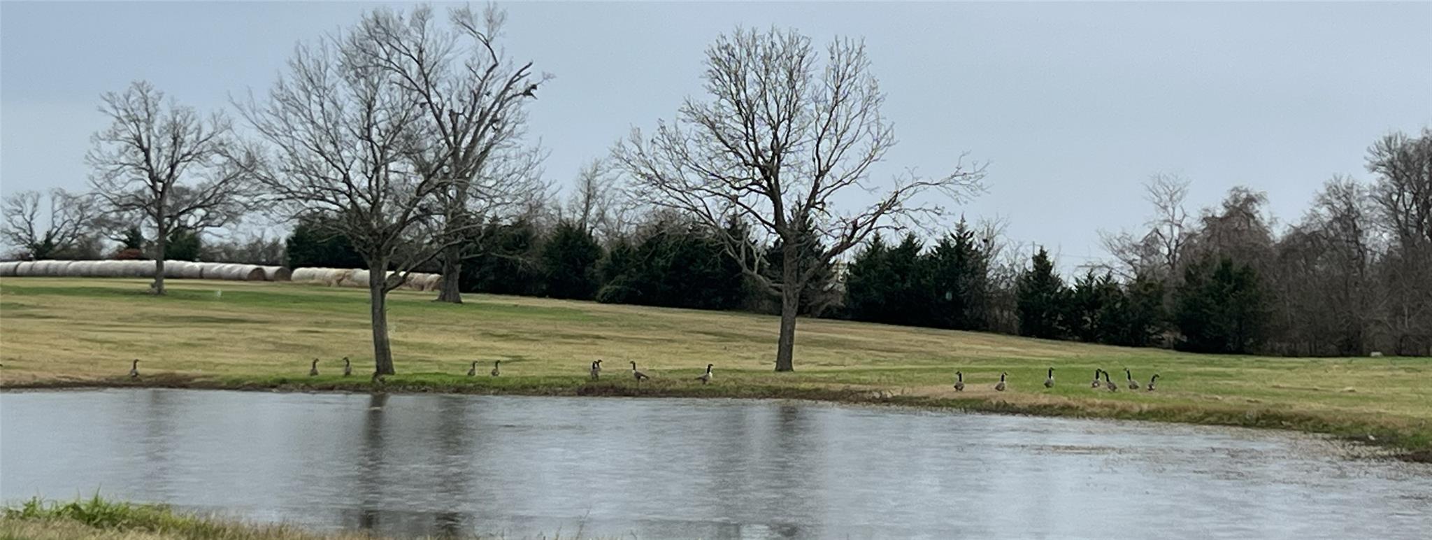 3283-40 Fm 2562 Road