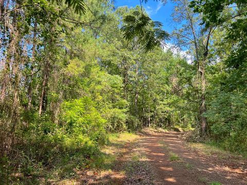 Photo of 6 Off Highway 21, Geneva, TX 75959 (MLS # 62906175)