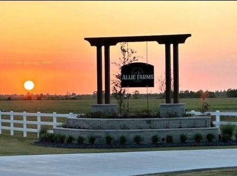 Vacant Land For Sale - 1095 Allie Lane<br/> Dayton, TX 77535