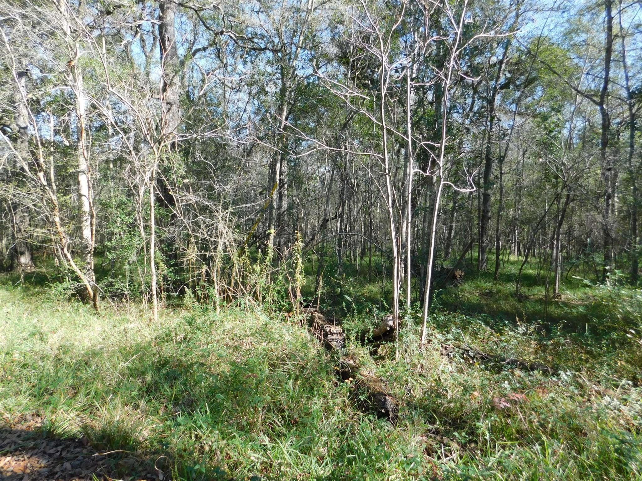 0 Brazos River Drive