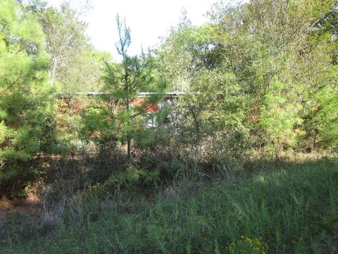 Photo of 228 Kelly Drive, Trinity, TX 75862 (MLS # 74711832)